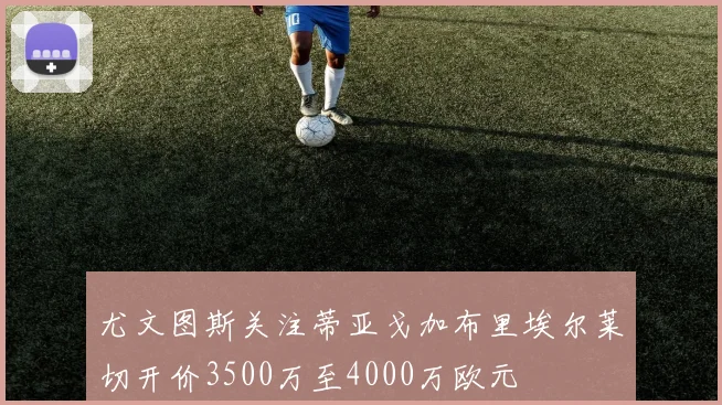 尤文图斯关注蒂亚戈加布里埃尔莱切开价3500万至4000万欧元