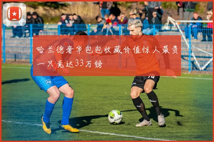 哈兰德奢华包包收藏价值惊人最贵一只竟达33万镑
