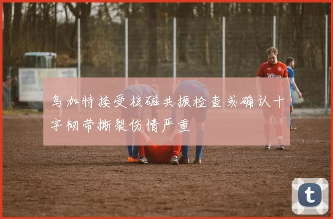 乌加特接受核磁共振检查或确认十字韧带撕裂伤情严重